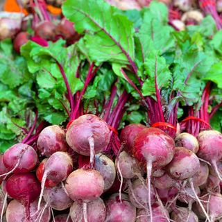 Beetroot Bunch