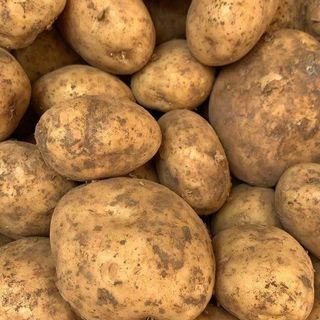 Potatoes Dirt KG