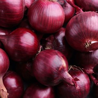 Onion Red KG