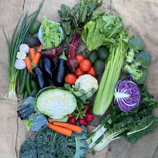 Large Veggie Box