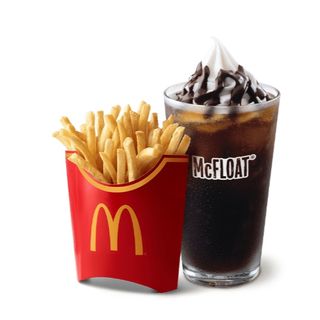 Large Fries 'N McFloat Combo