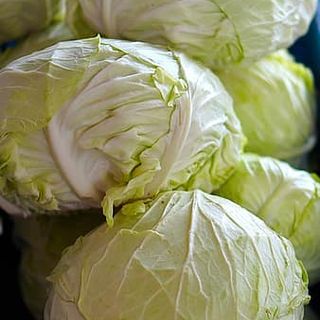 TH / Green Cabbage - Kg. (pcs.600g.++)