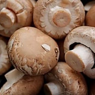 CN / Shiitake Mushrooms - kg.