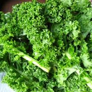 TH / ORGANICS Kale - Green Curly (order to cut)