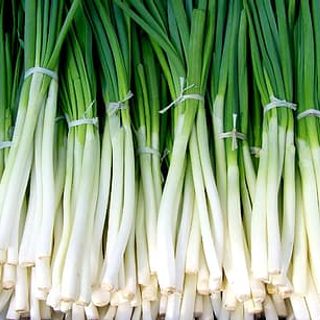 TH / Japanese Spring Onion / kg.