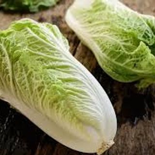 CN - Green Napa/Chinese Cabbage - Kg.(pcs.400-600g.)