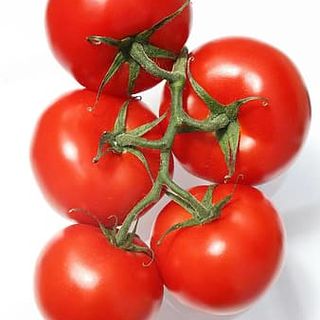 TH  / ORGANICS Tomatoes - Vine Thomas