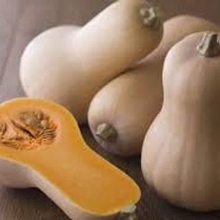 TH / Butternut Squash / head