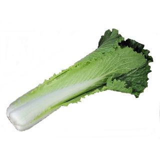 CN - Green Michilli Cabbage - Kg.(pcs.400-600g.)