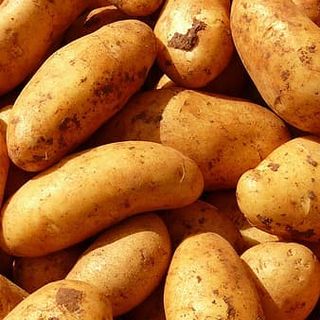 Potatoes - Import/Local