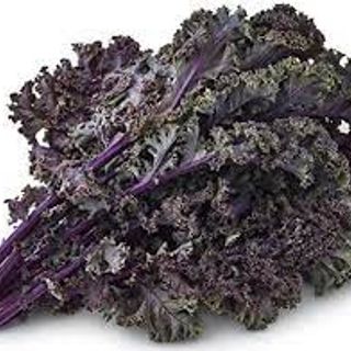 TH / ORGANICS Kale - Red Curly (order to cut)