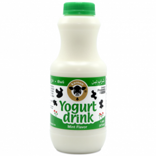 KAROUN Yogurt Drink MINT 1PT Bottle (437 ml) x 24