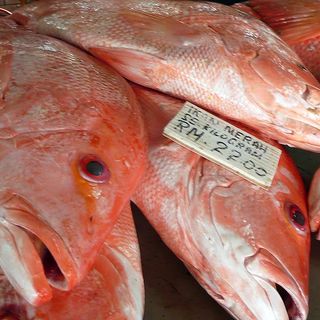 Red Snapper (1 piece)