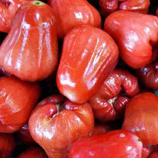 Jambu Air (~1kg)