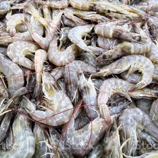 Prawn (30 pieces)