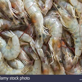 Prawn (10 pieces)