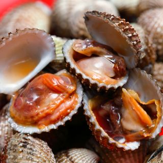 Kerang (3kg)