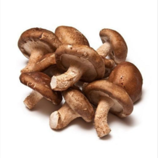 Shitake Mushroom (500g)