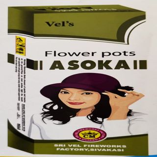 Flower Pots Asoka - (1 Box)