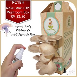 PC184 Moku-Moku DIY Mushroom Box