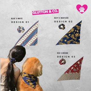 Matching Batik Scrunchie & Dog Bandana