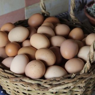 Farm Fresh Eggs (Pack of 6)