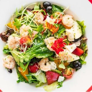 Shrimp Salad