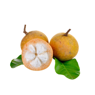 Santol (Out of Stock)