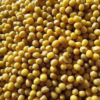 Yellow Mung Beans (Not in Stock)