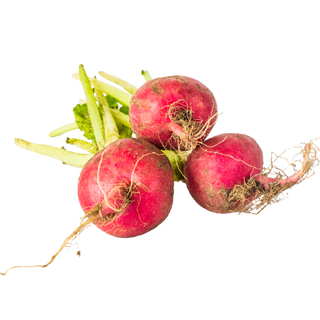 Red Radish (250g pack)