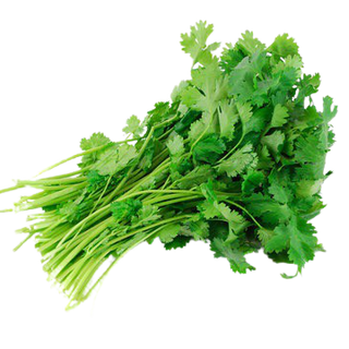 Coriander (100g pack) 