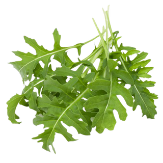 Wild Arugula (100g pack) Limited stock 