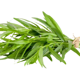 Tarragon (50g pack)