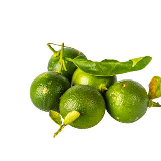 Calamansi (500g pack)