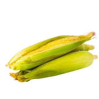 Japanese Yellow Corn (per piece)