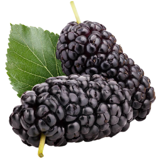 Mulberries (Out of Stock)