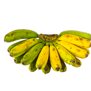 Banana Lakatan (Approx. 1.1kg bunch)