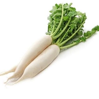 Radish (500g pack)