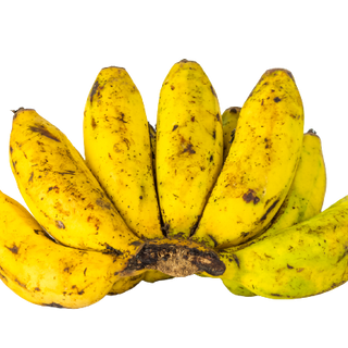 Banana Latundan (Approx 1.1kg bunch)