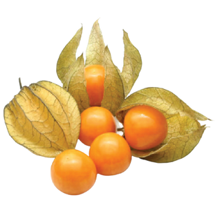 Cape Gooseberries (Out of Stock)