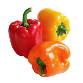 Green/Red/Yellow Capsicum Peppers (Out of Stock)