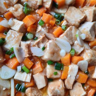 红烧板豆腐Brasied soft Tofu with vegetables