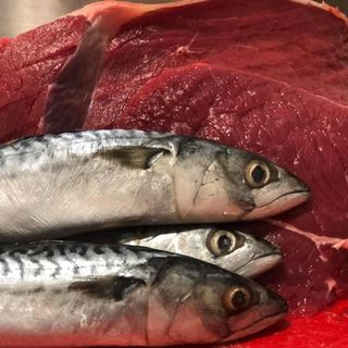 Beef&Mackerel fish 1 kg 