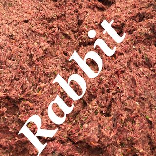 Rabbit  1 kg 