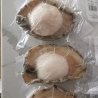 野生三頭青邊鮑 (原價$348) XL @285-385g (3隻約重1kg)- $318