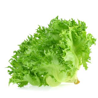 Green Coral Lettuce (~200g)