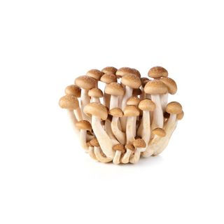 Shimeji Mushroom (2pkt)