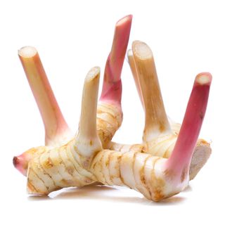 Blue Ginger Galangal (~350g)