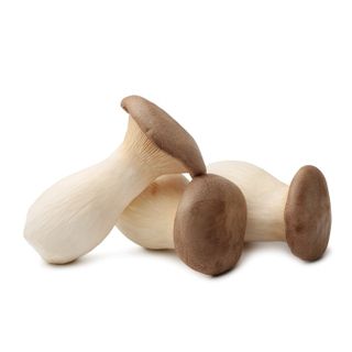 King Oyster Mushroom (~350g)