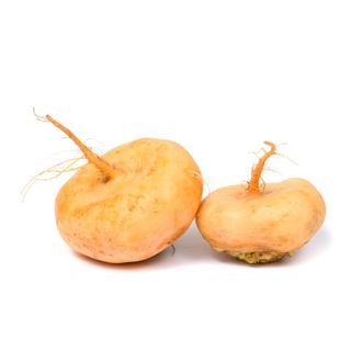 Turnip Yellow (~800g to 1kg)